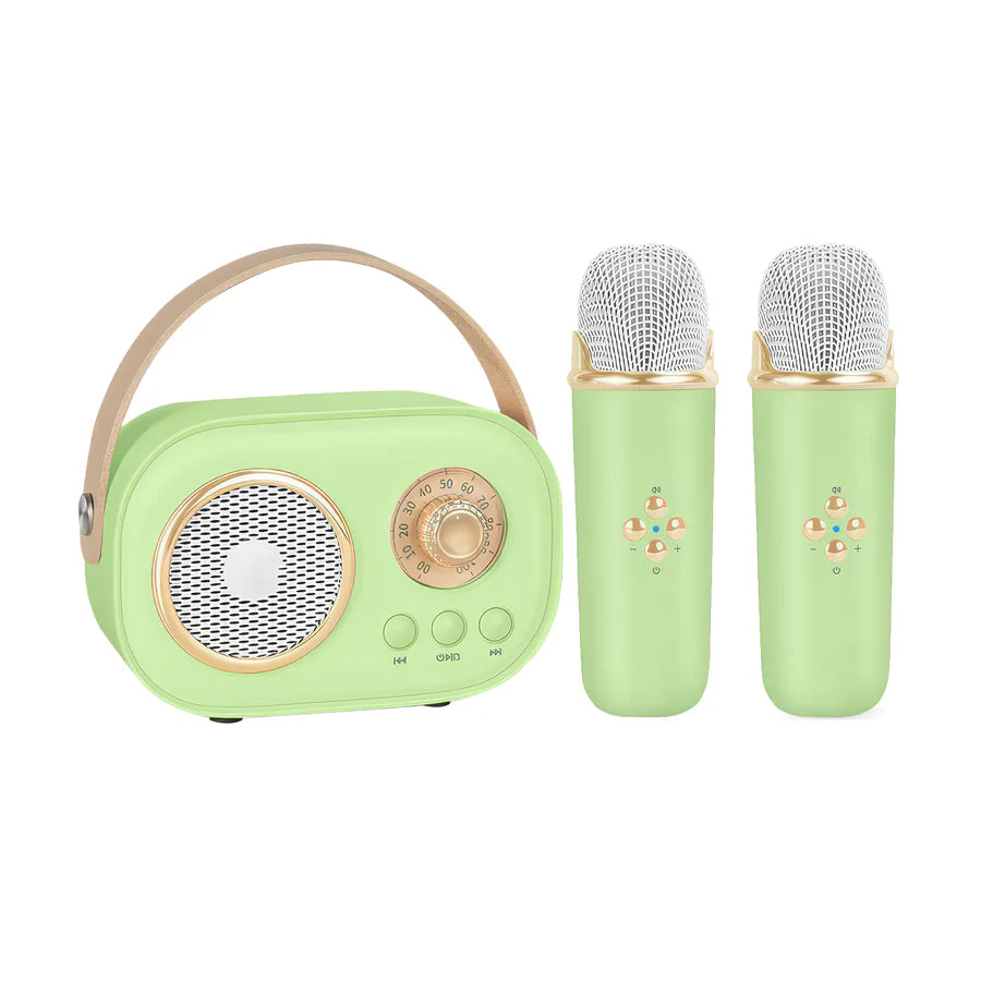 TuneEcho™ Karaoke Fun