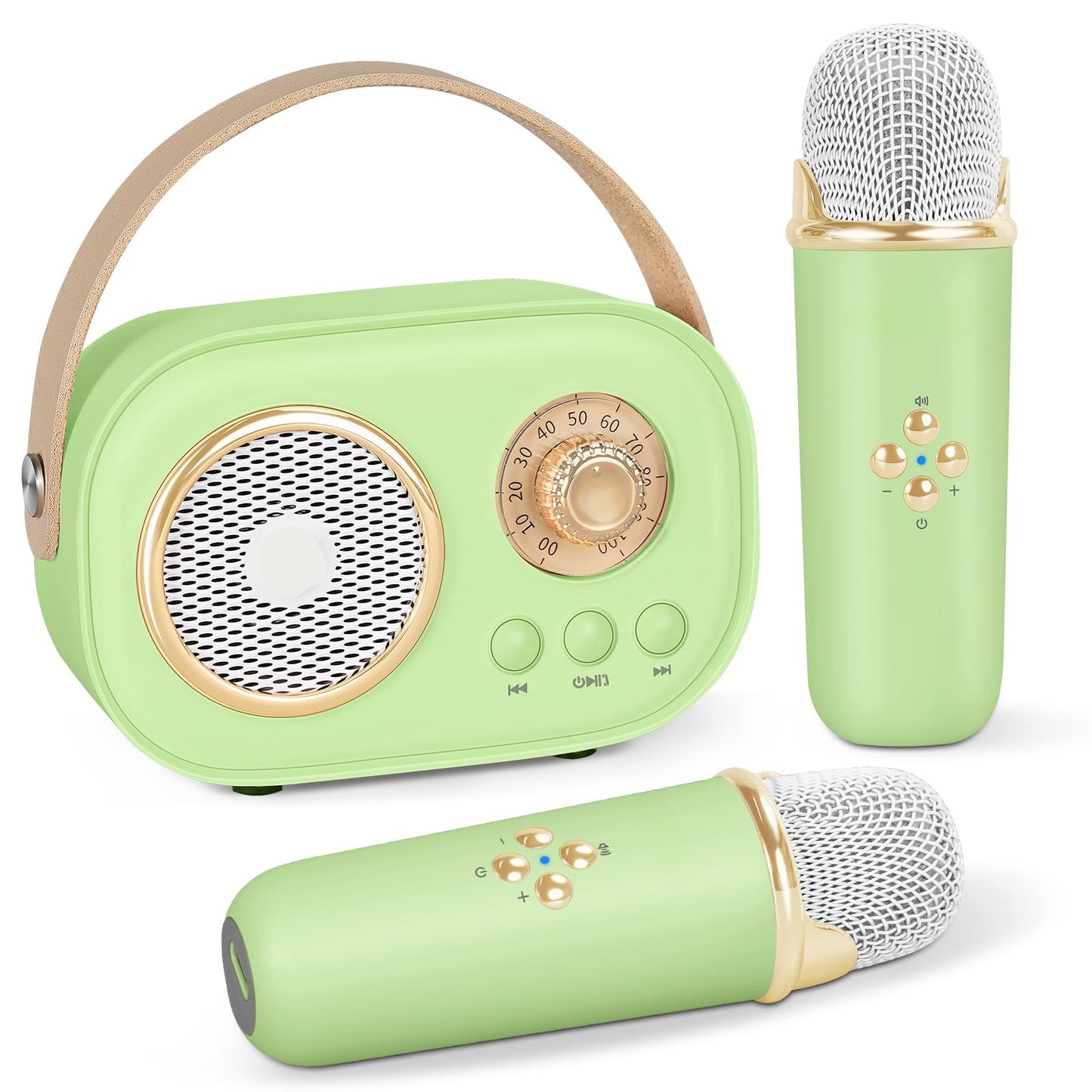 TuneEcho™ Karaoke Fun